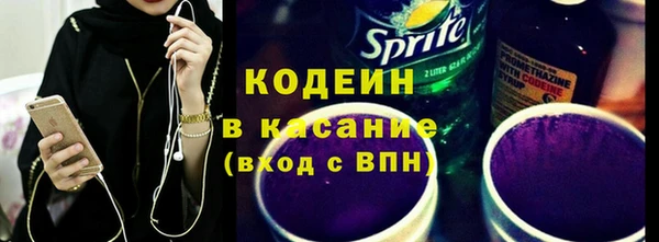 гашик Алексин