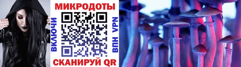 ссылка на мегу   Краснотурьинск  Псилоцибиновые грибы Magic Shrooms 